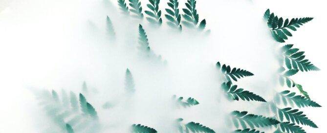 Plant-based Natural FOG Solutions Are Eco Friendly